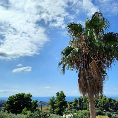 House With View Villa Agia Paraskevi  Eksteriør billede