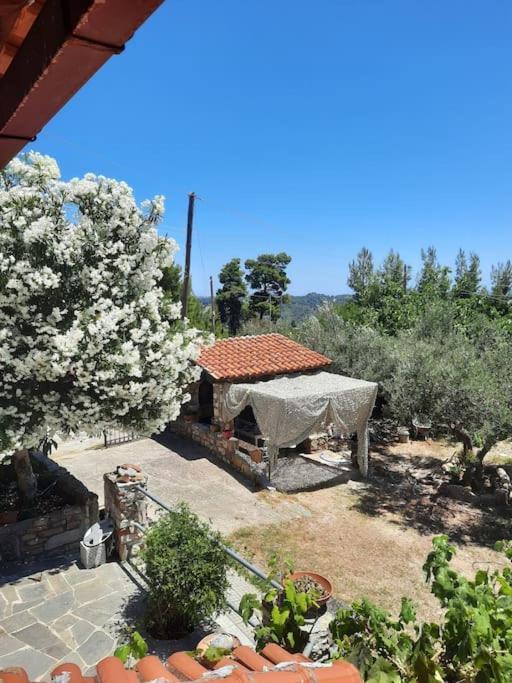 House With View Villa Agia Paraskevi  Eksteriør billede
